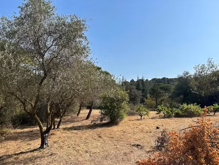 vente terrain à batir 740 m² à bizanet (11200)  109 900 €