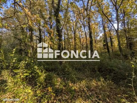 terrain boisé non constructible sur poligny 11 186m2