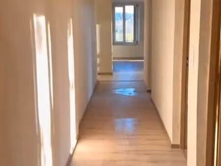 grand appartement lumineux à la planee