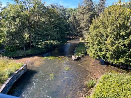 a louer à meung-sur-loire – superbe 3 pièces – quartier de la nivelle – aucun vis-à-vis