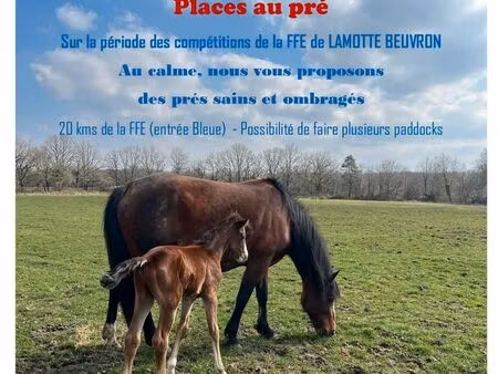 emplacements disponibles ffe