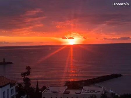 derniere minute beau et grand studio proxi cannes bord de mer