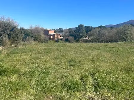 vente terrain 470 m² à montesquieu-des-albères (66740)  105 000 €
