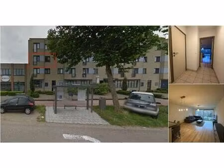 appartement à louer à bisschoppenhoflaan 592 deurne (rbv11329)