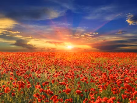 vente terrain 373 m² à olonne-sur-mer (85340)  158 800 €