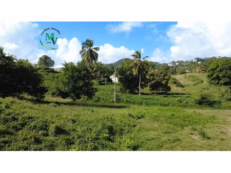 vente terrain 1241 m² à le vauclin (97280)  145 000 €