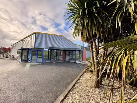 vente locaux professionnels 1185 m² à lanrivoaré (29290)  691 000 €