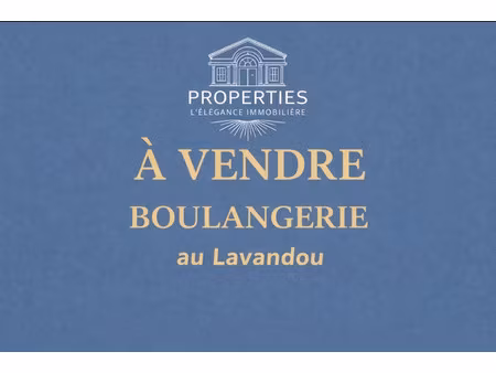 vente locaux professionnels 150 m² à le lavandou (83980)  162 000 €