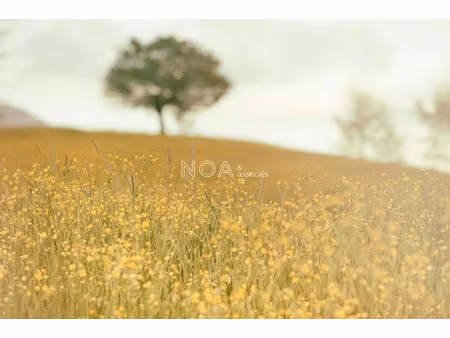 vente terrain 458 m² à andernos-les-bains (33510)  291 000 €