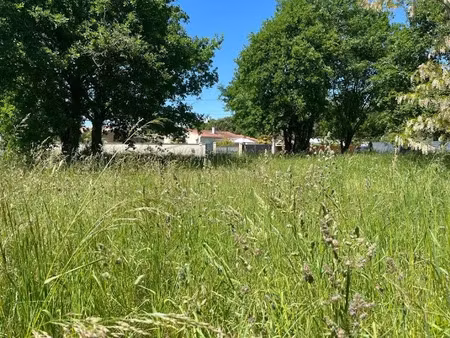 vente terrain 1345 m² à gujan-mestras (33470)  490 000 €