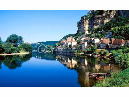 vente locaux professionnels à vitrac (24200)  780 000 €