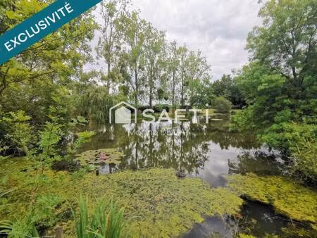 safti demay marina conseiller indépendant