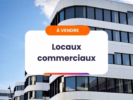 vente immeuble 24 pièces 1288 m² à montbard (21500)  470 000 €