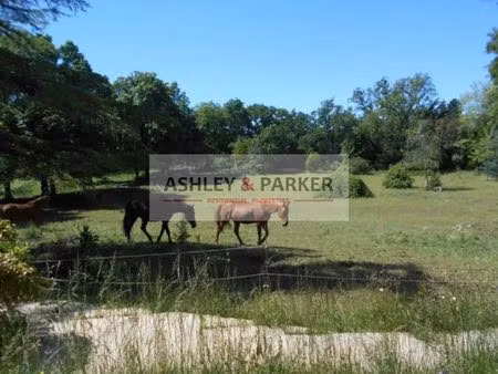 vente maison 8 pièces 489 m² saint-vallier-de-thiey (06460)