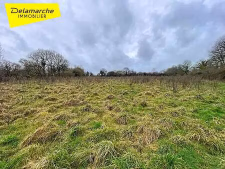 vente terrain à folligny (50320) : à vendre / 29320m² folligny