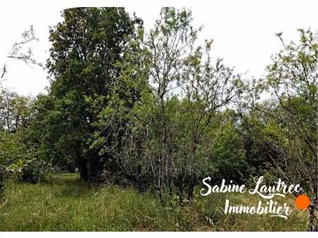 terrain constructible viabilisé à vendre