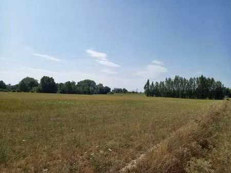 terrain constructible viabilisé à vendre