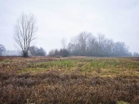 terrain constructible viabilisé à vendre