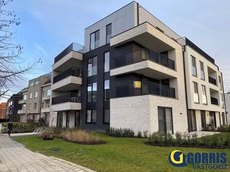 appartement à louer à putte € 800 (lk6fu) - gorris vastgoed | zimmo