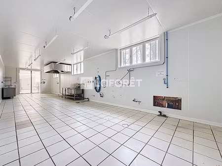 location locaux professionnels 75.64 m² à brain-sur-allonnes (49650)  520 €