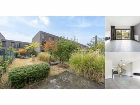 maison à louer à zuidervelodroom 66 anvers (rbv11379)