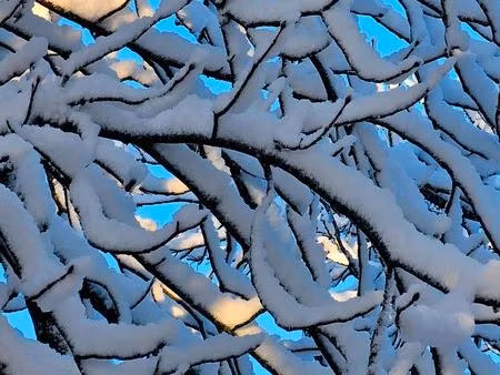 famille recherche location longue durée