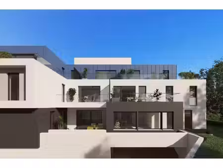 scharf immobilier