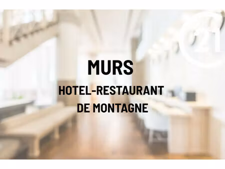 fonds de commerce à vendre les deserts