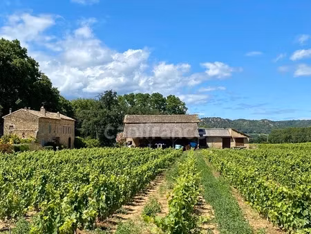 dpt gard (30)  domaine viticole de 16 hectares avec chai et ancienne ferme indépendante