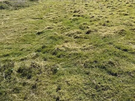 terrain constructible viabilisé à vendre