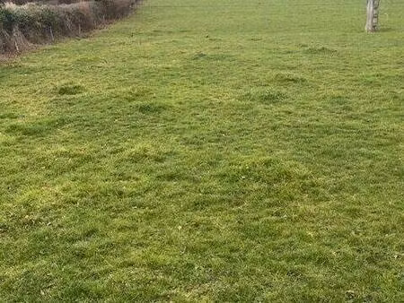 terrain constructible à vendre