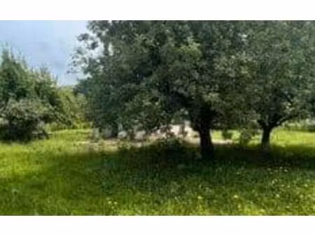 terrain constructible viabilisé à vendre