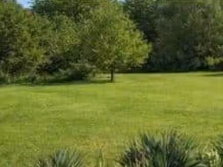 terrain constructible viabilisé à vendre