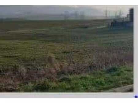 terrain constructible viabilisé à vendre