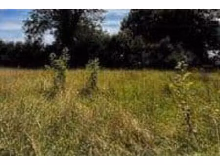 terrain constructible viabilisé à vendre