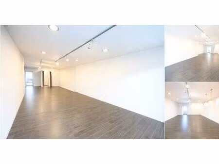 appartement à louer à dorpsstraat 91 sijsele (rbv11408)