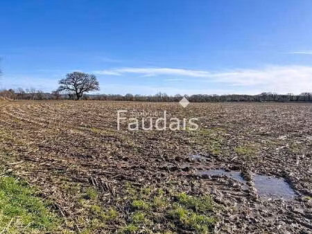 vente terrain à saint-symphorien-le-valois (50250) : à vendre / saint-symphorien-le-valois