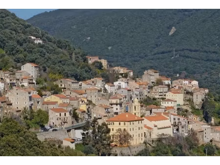 olmeto - studio - 27.30 m² - rénovation à prévoir