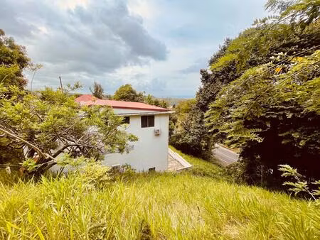 propriété avec possibilité de rendement locatif.