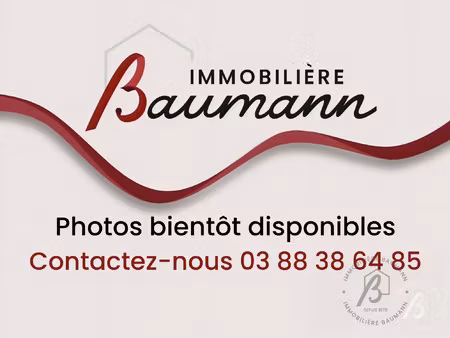 appartement à louer molsheim