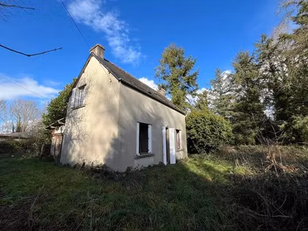 vente maison 4 pièces 60 m² à spézet (29540)  20 000 €