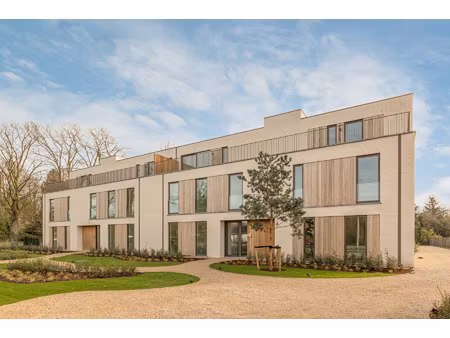 appartement te huur in schilde met 3 slaapkamers