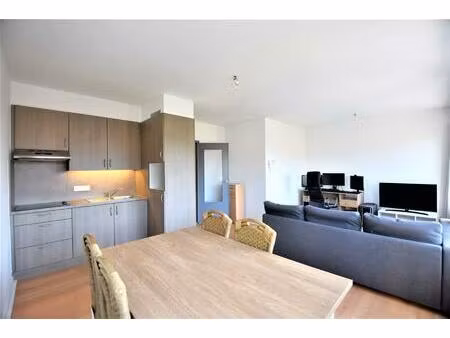 appartement te huur in ekeren met 1 slaapkamer