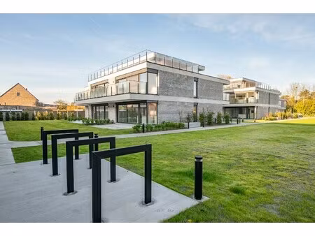 appartement te huur in zwijndrecht met 2 slaapkamers