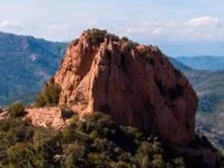 achat : appartement (83490)