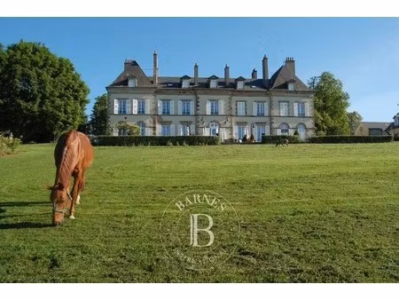 propriété équestre ygrande - 19 chambres - 1500m²