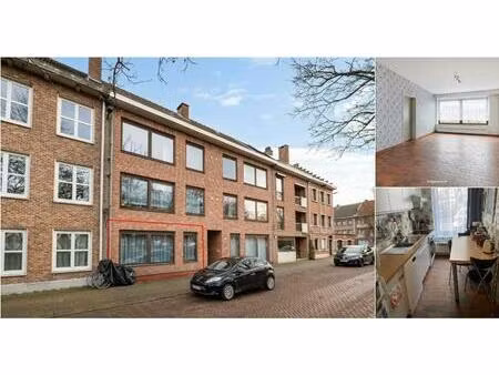 rez-de-chaussée à vendre à oever 19 lier (rbv11435)