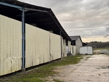 vente terrain 193741 m² la tour-blanche-cercles (24320)