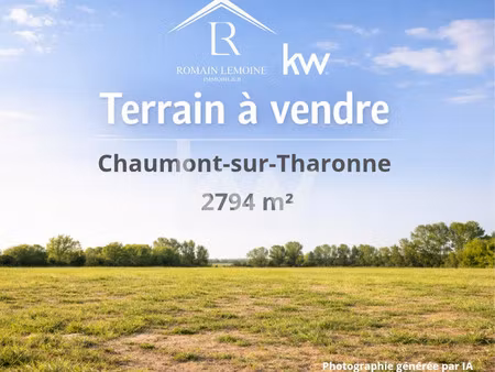 terrain à vendre chaumont-sur-tharonne