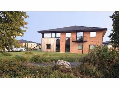 location local professionnel 256m²